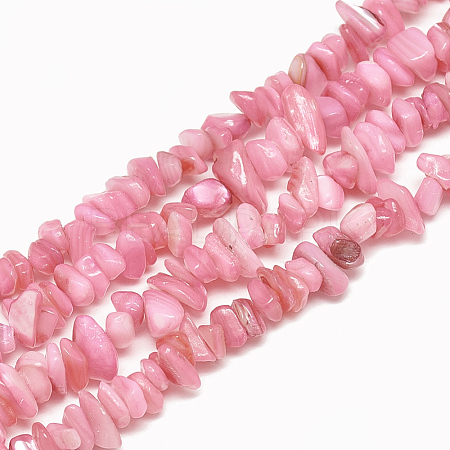 Freshwater Shell Beads Strands SHEL-S270-05-1