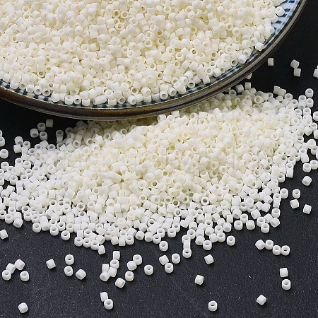 MIYUKI Delica Beads SEED-J020-DB0352-1