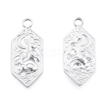 Non-Tarnish 201 Stainless Steel Pendants STAS-N098-254P-1