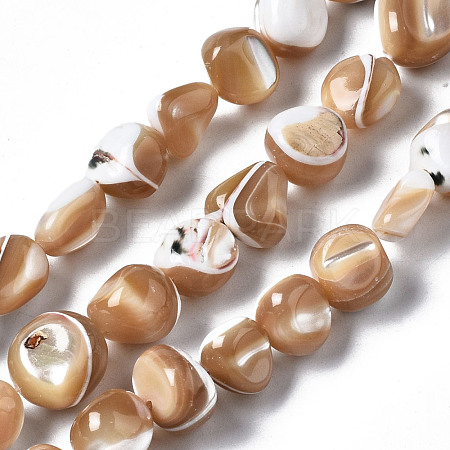 Natural Trochid Shell/Trochus Shell Beads Strands SSHEL-S266-015B-1