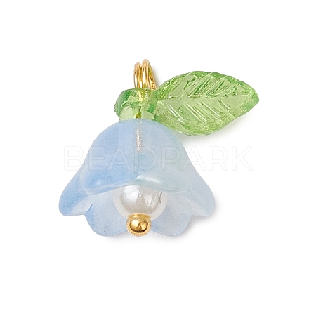 Glass Charms PALLOY-MZ00838-03-1