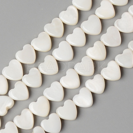 Natural Freshwater Shell Beads Strands X-SHEL-N026-71-1