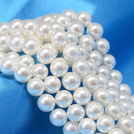 Round Shell Pearl Bead Strands X-BSHE-L011-10mm-A013-1