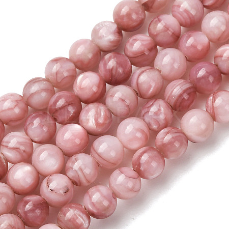Natural Sea Shell Beads Strands SHEL-K006-74-1