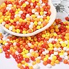 6/0 Opaque Baking Paint Glass Seed Beads X1-SEED-M012-02A-30-1