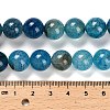 Dyed Natural Agate Beads Strands G-G203-10I-12mm-5