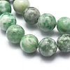 Natural Qinghai Jade Beads Strands G-I254-06B-3