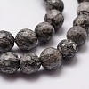Natural Map Stone/Picasso Stone/Picasso Jasper Beads Strands X-G-D840-35-6mm-3
