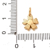 304 Stainless Steel Micro Pave Clear Cubic Zirconia Charms CU-CBAB6EC-24G-3