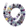 Natural Fluorite Beads Strands G-K245-A10-02-2