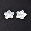 Natural White Shell Mother of Pearl Shell Pendants SSHEL-G014-60-3