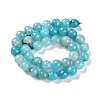 Natural Agate Beads Strands G-M437-C01-01N-3