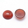 Natural Carnelian Cabochons G-P393-R37-12mm-2