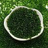 Glass Seed Beads SEED-K009-11B-02-2