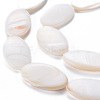 Natural Freshwater Shell Beads Strands SHEL-N026-169-3