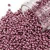 TOHO Round Seed Beads SEED-JPTR11-0563F-1