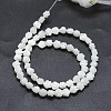 Natural White Shell Beads Strands SSHEL-P015-01A-6mm-2
