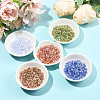 438Pcs Imitation Cat Eye Glass Seed Beads SEED-FS0001-47C-5