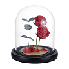 1Pc Arch Glass Dome Cover AJEW-UN0002-84A-1