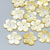 Yellow Shell Beads SSHEL-S260-065-1