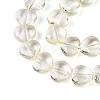Baking Paint Transparent Glass Beads Strands DGLA-N021-01B-03-3