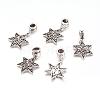 Alloy European Dangle Charms PALLOY-JF00001-17-1