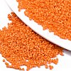 FGB 11/0 Grade A Glass Seed Beads X-SEED-S030-1019-1