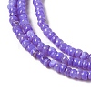 Natural Freshwater Shell Beads Strands SHEL-P017-01B-04-3