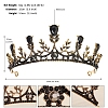 Alloy Rhinestone Hair Bands  for Woman Girls PW-WGA69DD-07-1