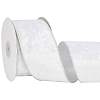 10 Yards Single Face Velvet Wired Ribbon SRIB-WH20020-023C-1