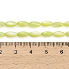 Natural Freshwater Shell Beads Strands X-SHEL-C010-01D-4