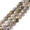 Natural Labradorite Beads Strands G-C238-37-1