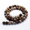 Natural Zebra Jasper Beads Strands X-G-I199-10-8mm-2