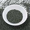 MIYUKI Delica Beads X-SEED-J020-DB0324-2