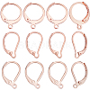 60Pcs 3 Styles 304 Stainless Steel Leverback Earring Findings STAS-BBC0008-30A-1