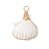 Copper Wire Wrapped Natural Shell Pendants PALLOY-JF03494-3