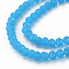Glass Beads Strands EGLA-A044-J6mm-D09-3