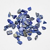 Natural Lapis Lazuli Chip Beads G-G903-01-1