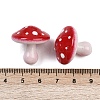 Opaque Acrylic Beads MACR-C036-02E-3