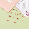 Natural Red Agate Beads G-CJ0001-16-8