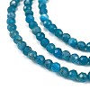 Natural Apatite Beads Strands G-Z057-B02-02-3