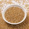 Cylinder Seed Beads SEED-H001-G04-3