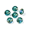 Transparent Glass European Beads GPDL-N005-D14mm-A10-1