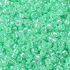 Glass Seed Beads X-SEED-S042-13A-11-3