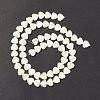 Natural Trochid Shell/Trochus Shell Beads SSHEL-K027-16-2