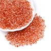 Baking Paint Electroplate Transparent Glass Seed Beads SEED-N006-07B-1