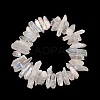 Natural Quartz Crystal Points Beads Strands G-K181-B28-6