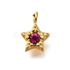 304 Stainless Steel Charms STAS-R159-58G-01-1