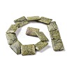 Natural Serpentine/Green Lace Stone Beads Strands G-P469-01-3