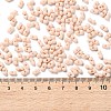 Rubberized Style Glass Seed Beads SEED-Z003-01G-4